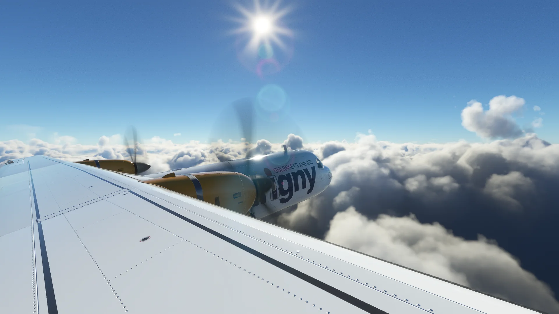 Open 01_05_2023 08_35_00.webp